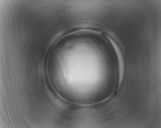 X0000060220482200511041208