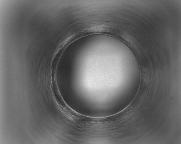 X0000060220486200511041208
