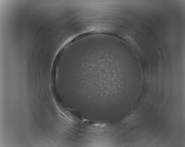X0000060220488200511041208