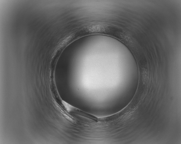 X0000060220490200511041208