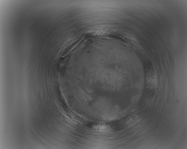 X0000060220503200511041208