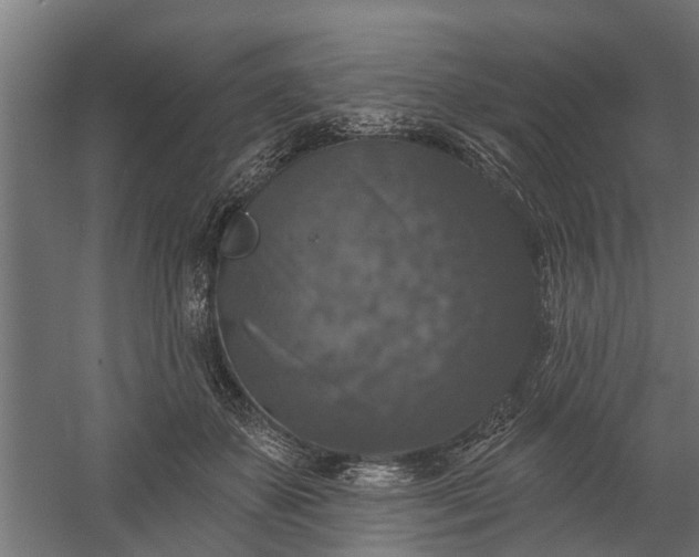 X0000060220507200511041208