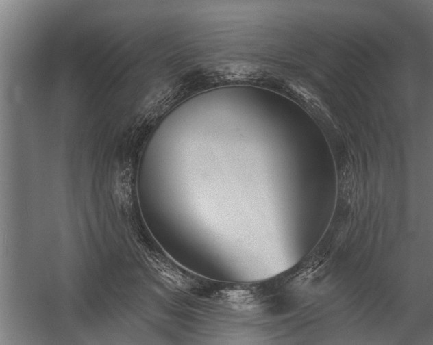 X0000060220509200511041208
