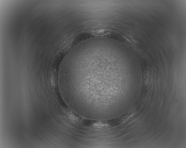 X0000060220515200511041208
