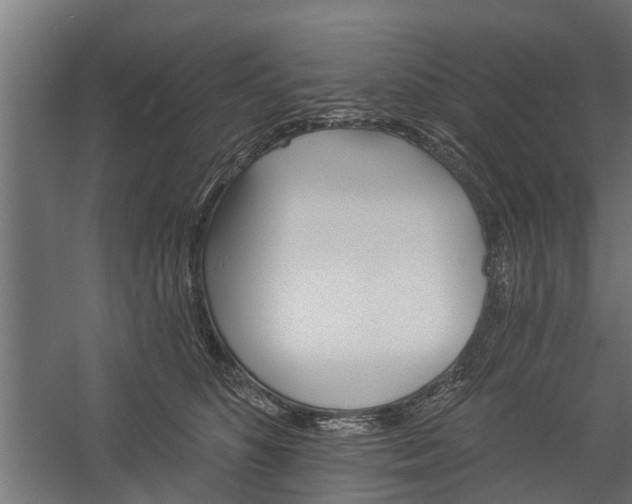 X0000060220516200511041208