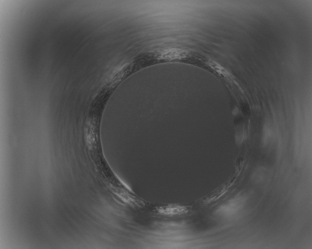 X0000060220517200511041208