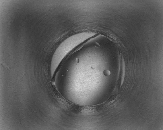 X0000060220521200511041208