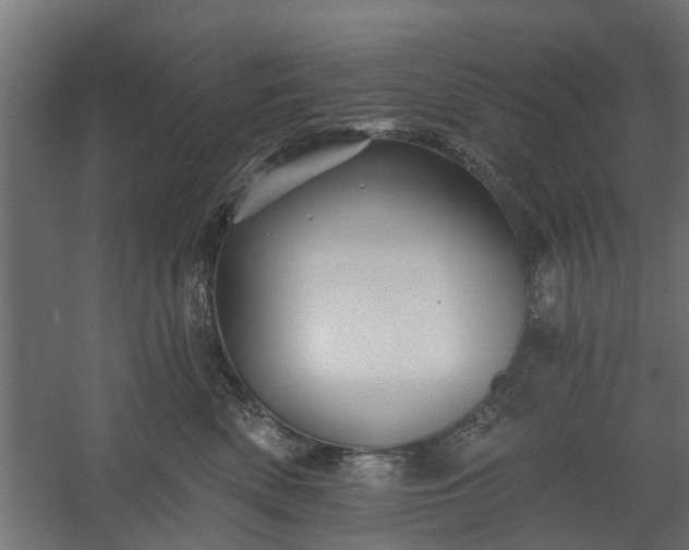 X0000060220522200511041208