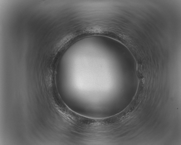 X0000060220544200511041207