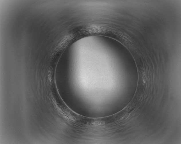X0000060220546200511041207
