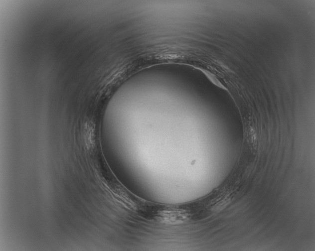 X0000060220556200511041207
