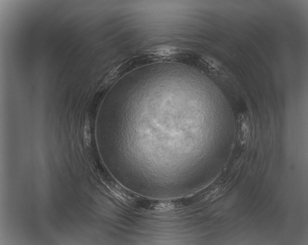 X0000060220562200511041207