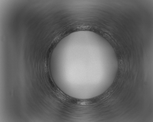 X0000060220564200511041207