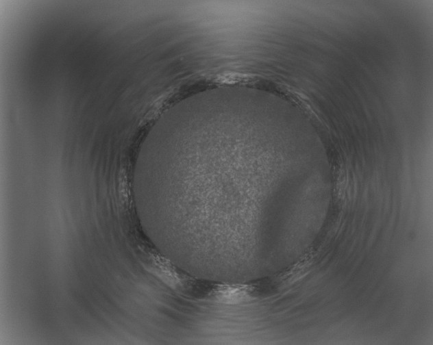 X0000060220569200511041207