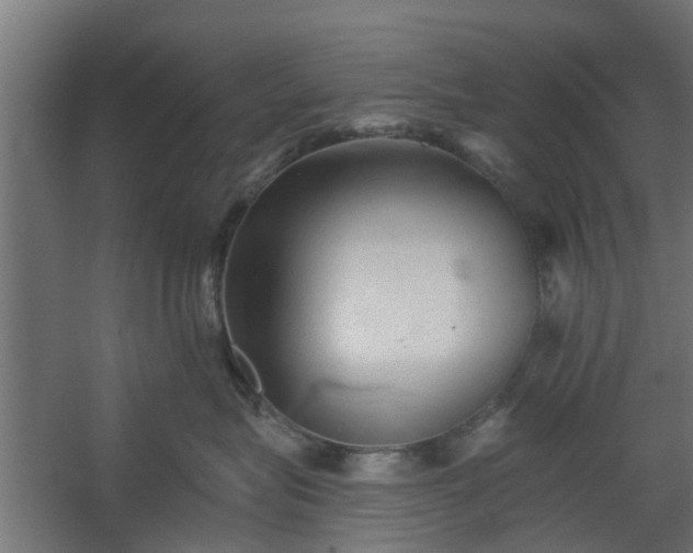 X0000060220575200511041207