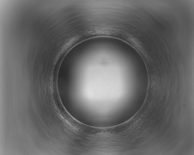 X0000060220578200511041207