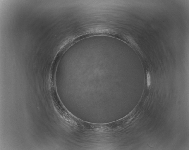 X0000060220579200511041207