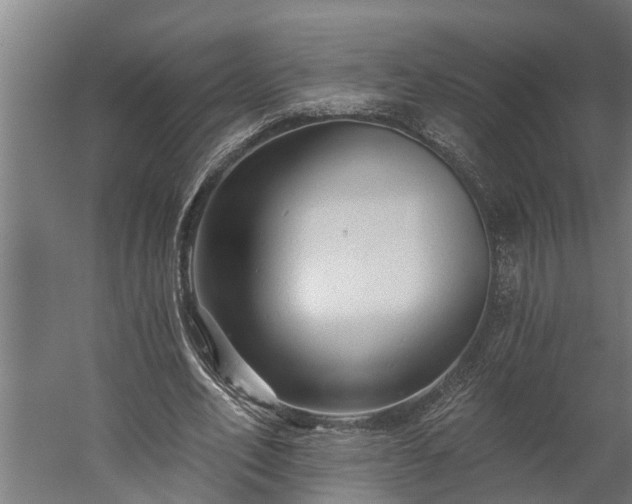 X0000060220582200511041207