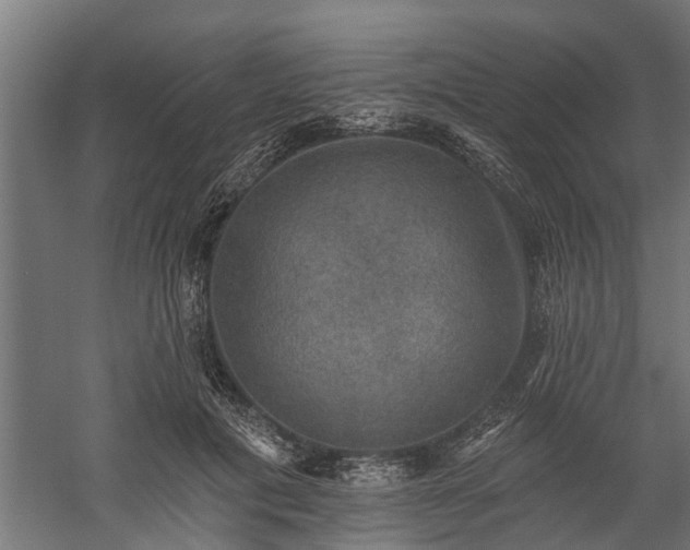X0000060220601200511041206