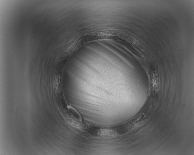 X0000060220605200511041206