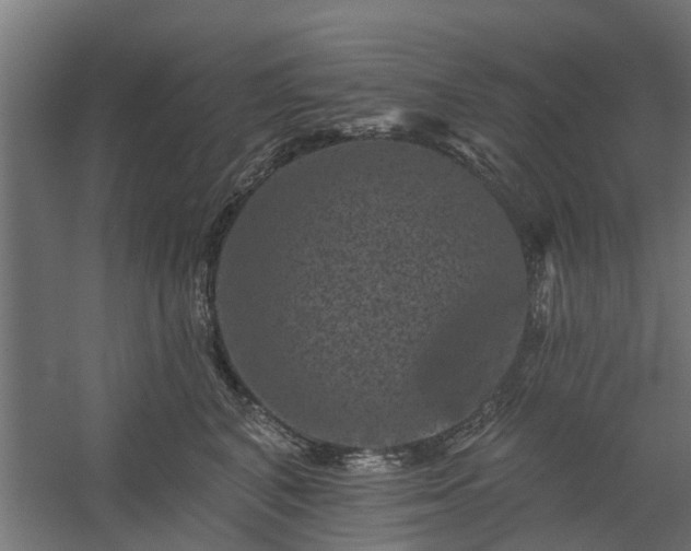 X0000060220616200511041206