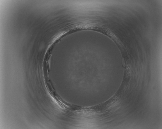 X0000060220626200511041205
