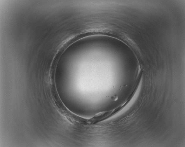 X0000060220628200511041205