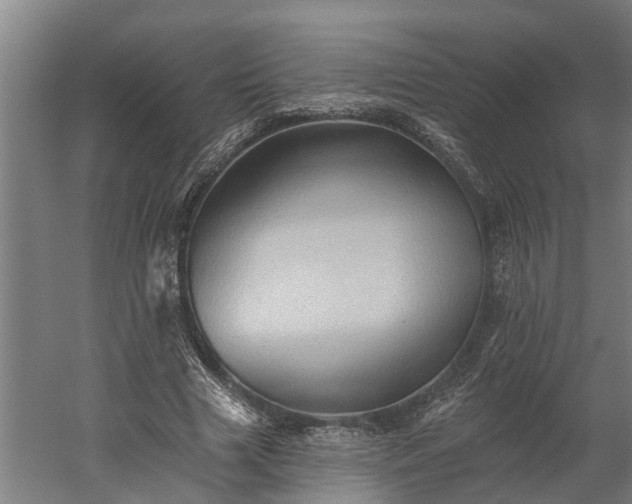 X0000060220633200511041205