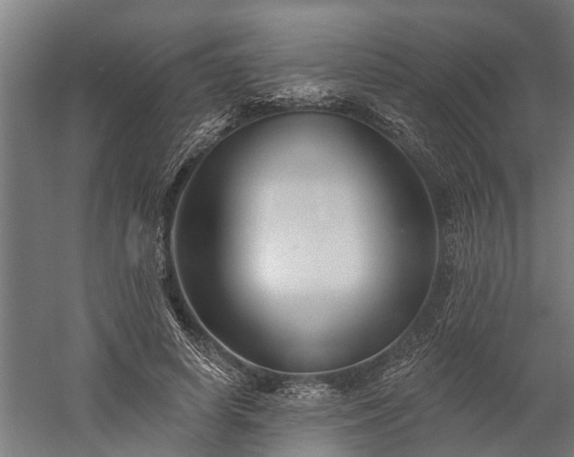 X0000060220642200511041205