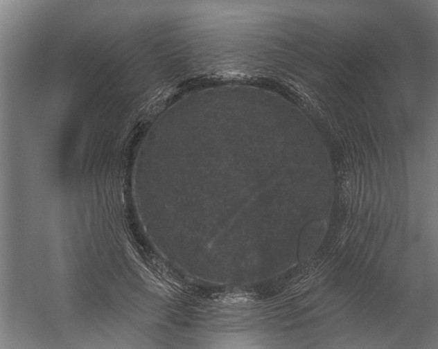 X0000060220643200511041205