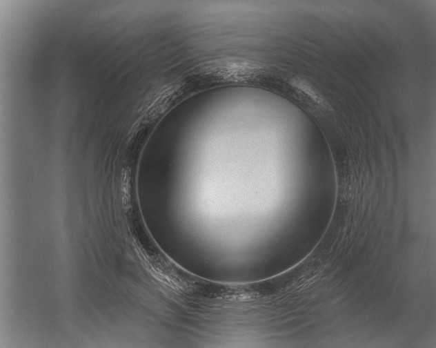 X0000060220646200511041205