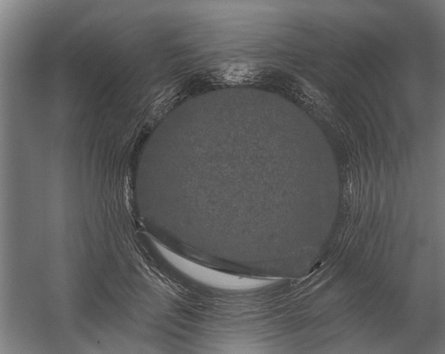X0000060220651200511041205