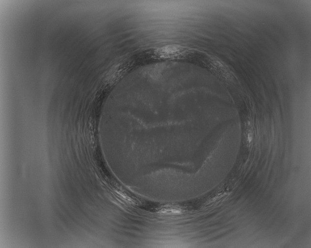 X0000060220653200511041205