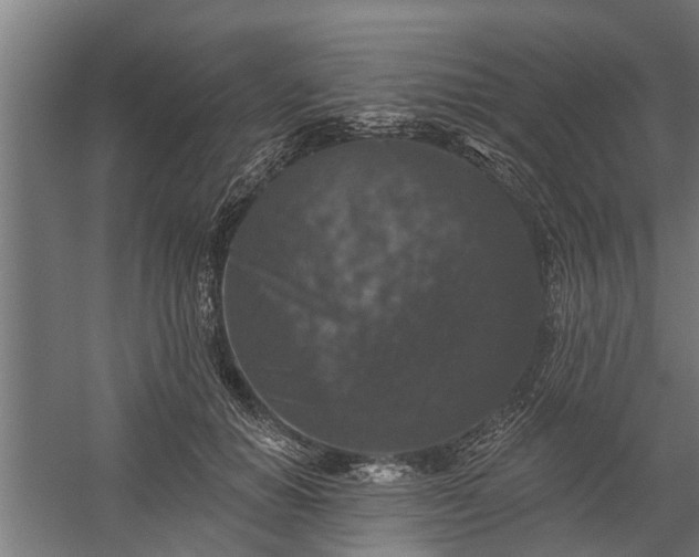 X0000060220654200511041205