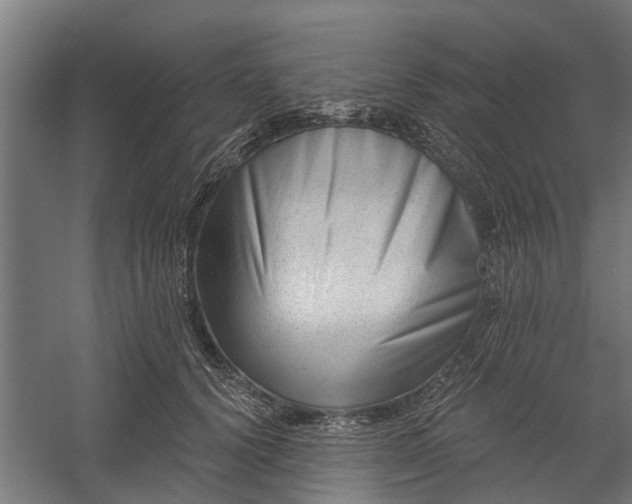 X0000060220656200511041206