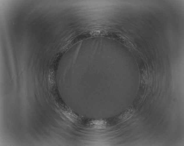 X0000060220659200511041206