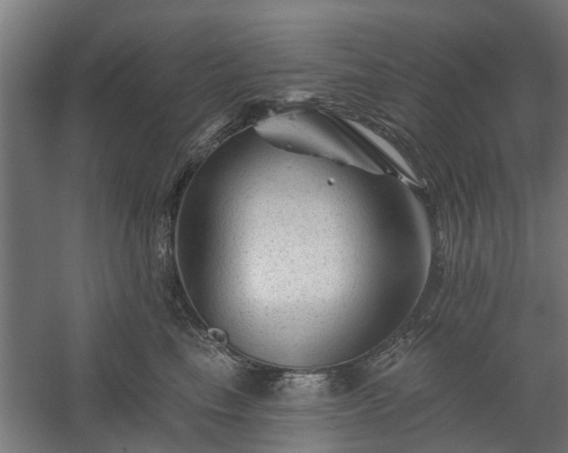 X0000060220665200511041206