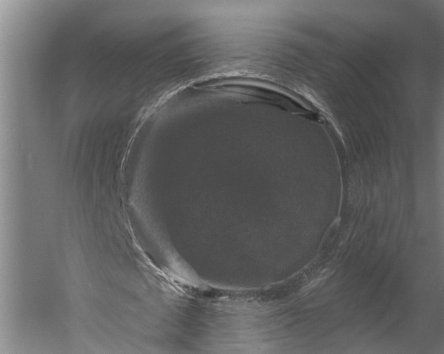 X0000060220673200511041205