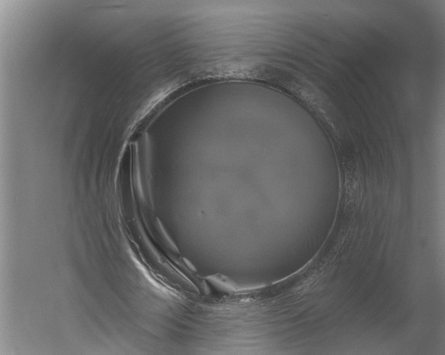 X0000060220674200511041205