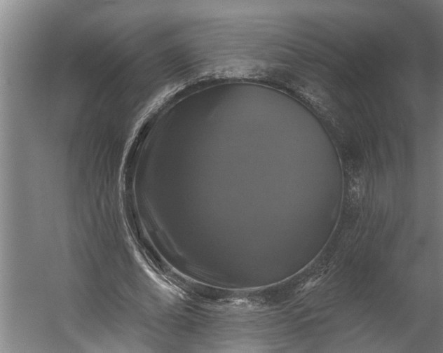 X0000060220678200511041205