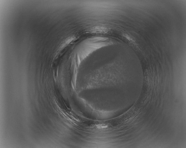 X0000060220692200511041205
