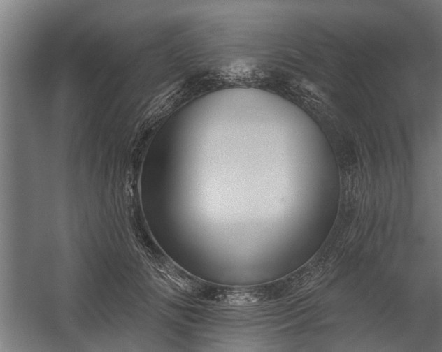 X0000060220702200511041204