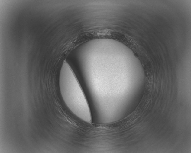 X0000060220704200511041204