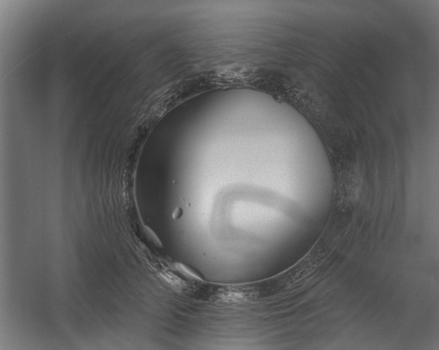 X0000060220706200511041204
