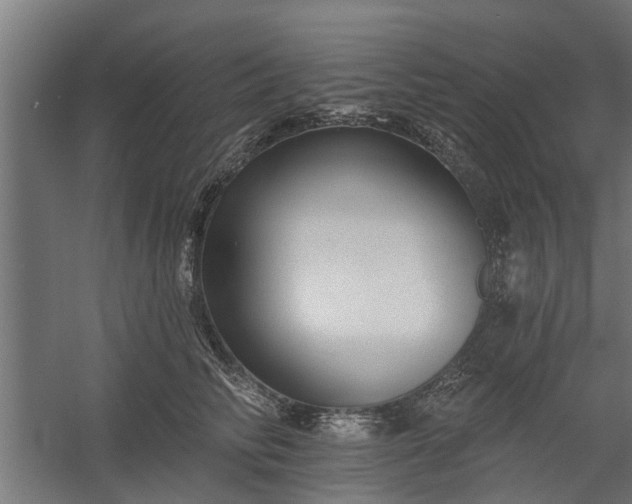X0000060220710200511041204