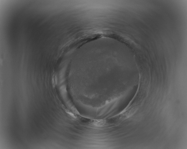 X0000060220720200511041204