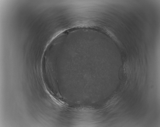 X0000060220722200511041203