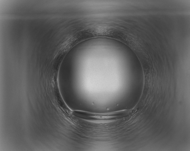 X0000060220746200511041204