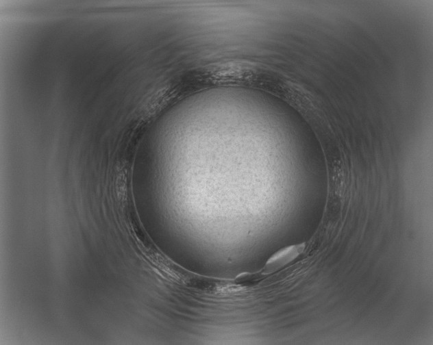 X0000060220753200511041204