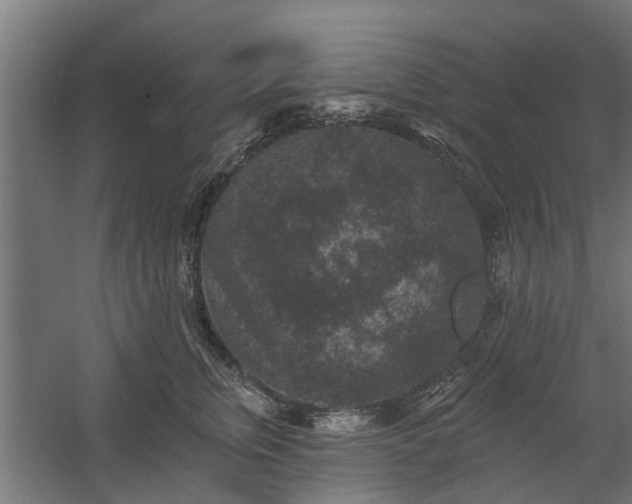X0000060220759200511041204